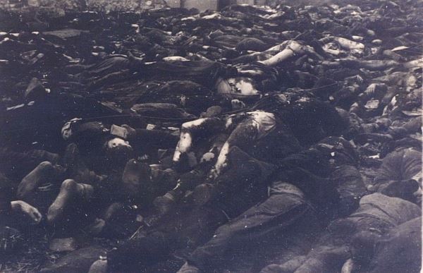 «Бесчеловечная жестокость»: Минобороны РФ публикует архивные документы об уничтожении людей в нацистских концлагерях 5