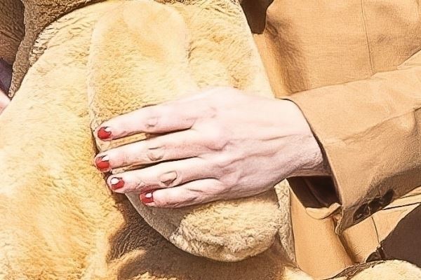 После слухов о разводе: Бритни Спирс вернулась в Лос-Анджелес без обручального кольца
